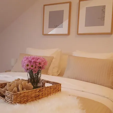 Skenza's Loft Near And Center Split